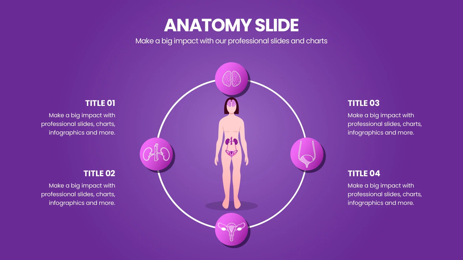 Anatomy Infographic templates