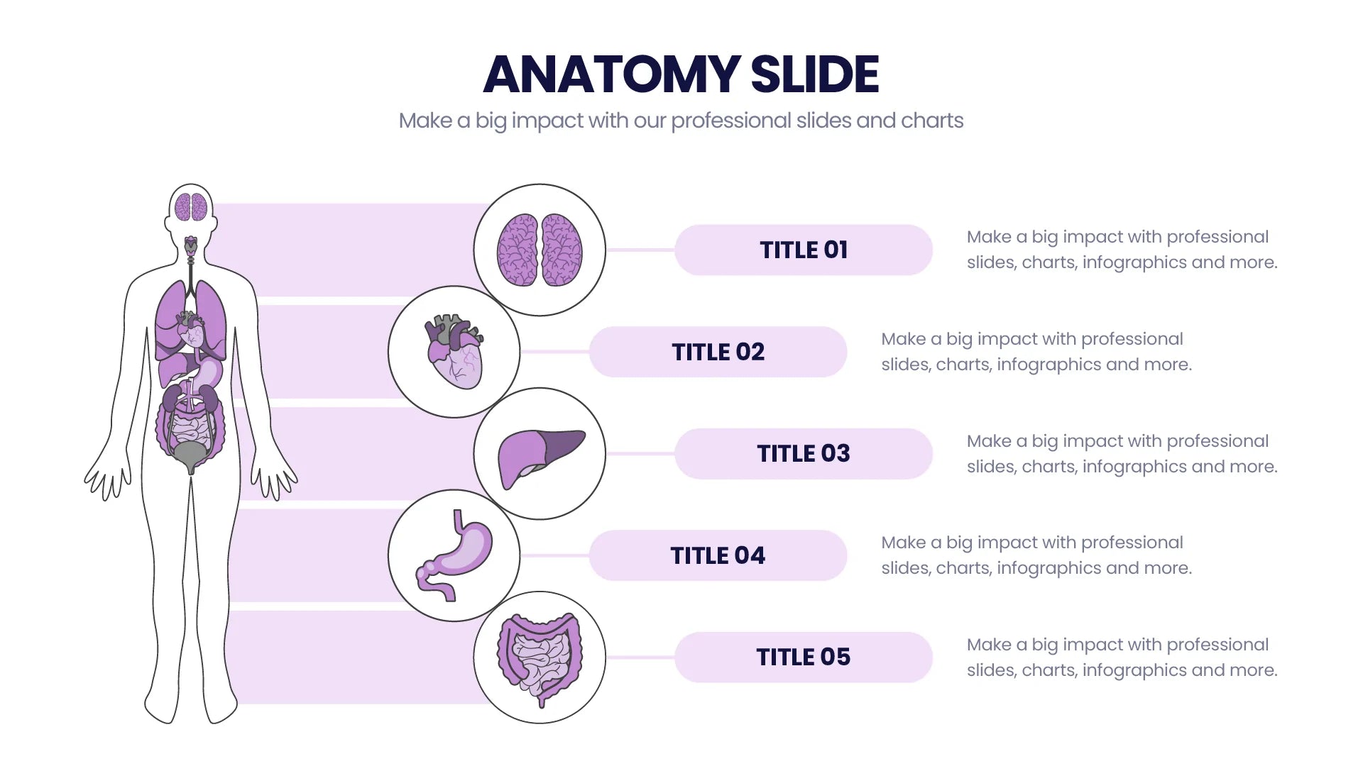 Anatomy Infographic templates
