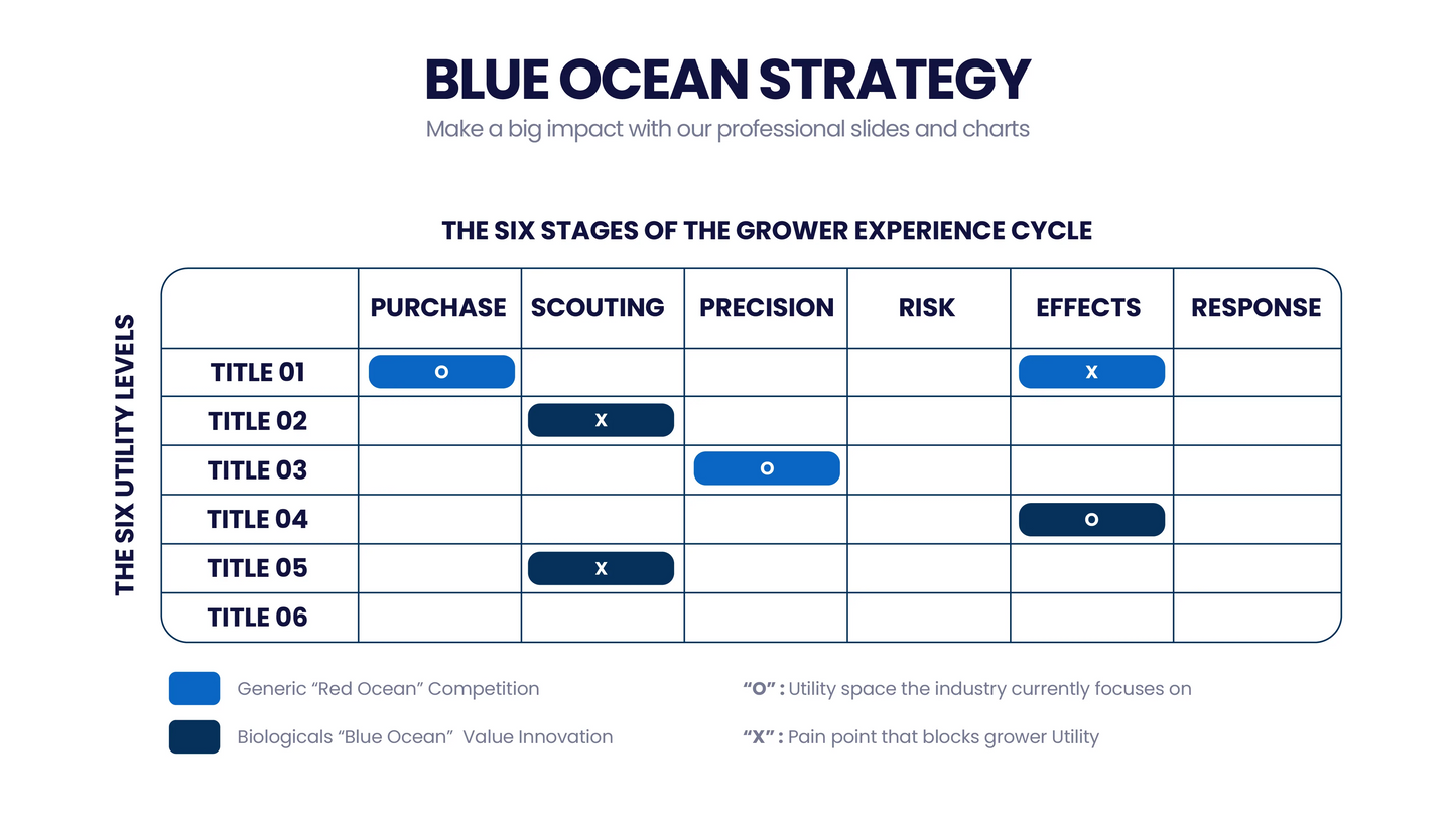 Blue Ocean Strategy Infographic