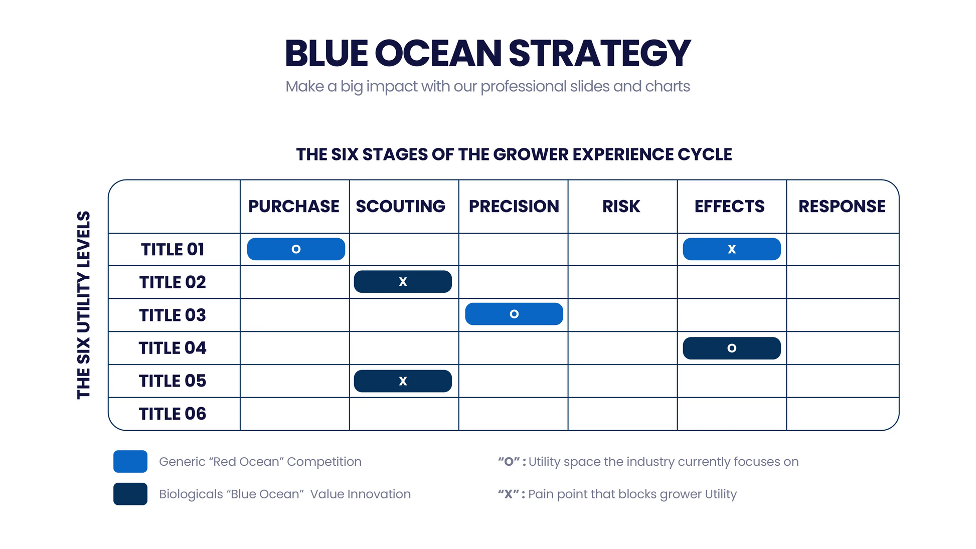 Blue Ocean Strategy Infographic