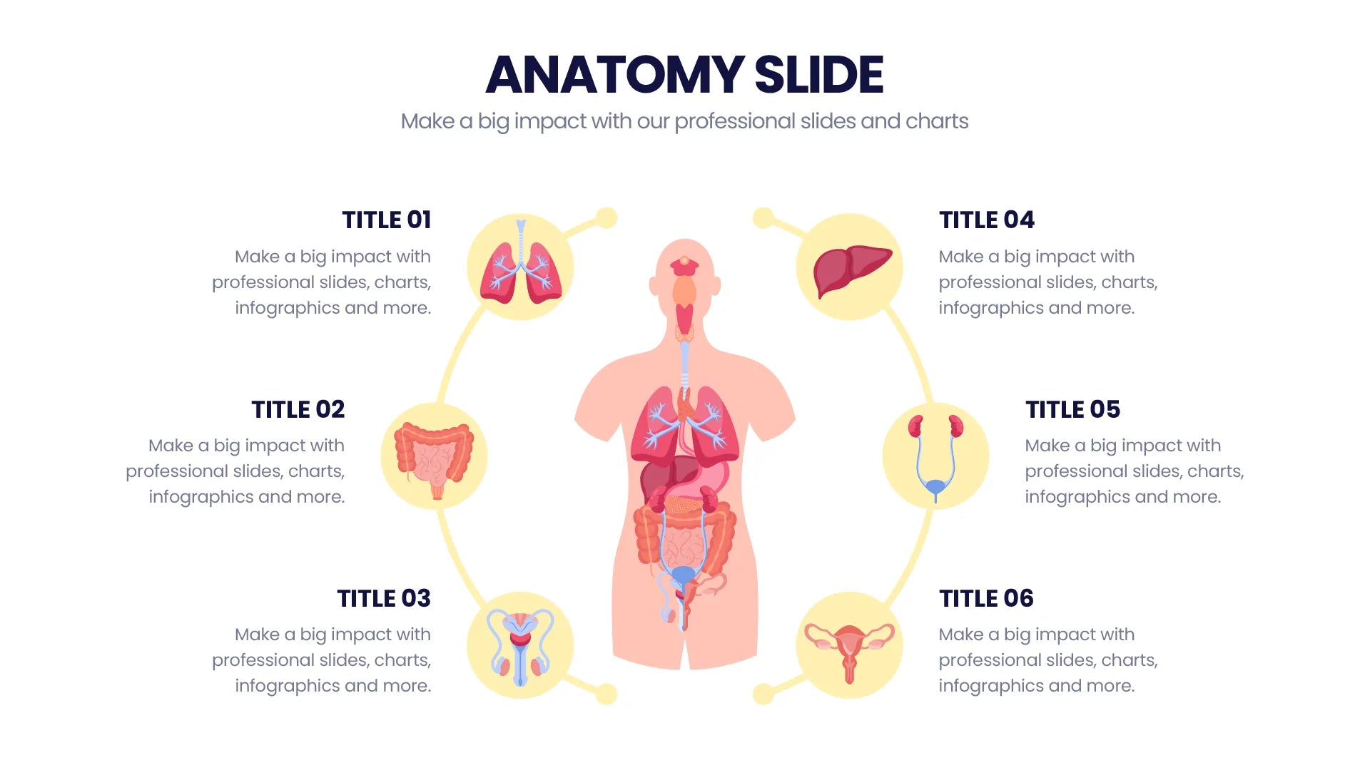 Anatomy Infographic Templates PowerPoint slides