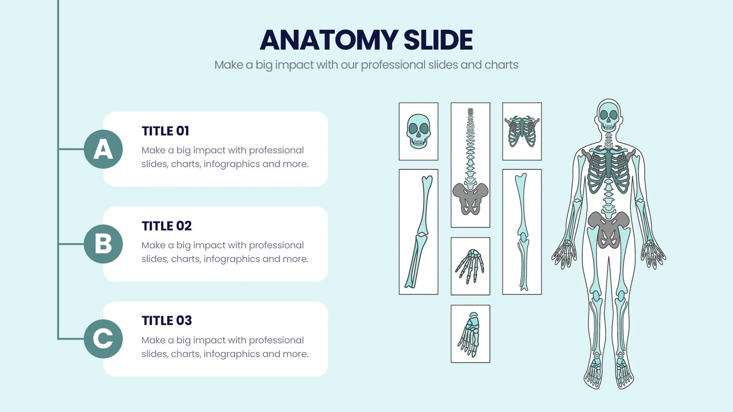 Anatomy Infographic templates