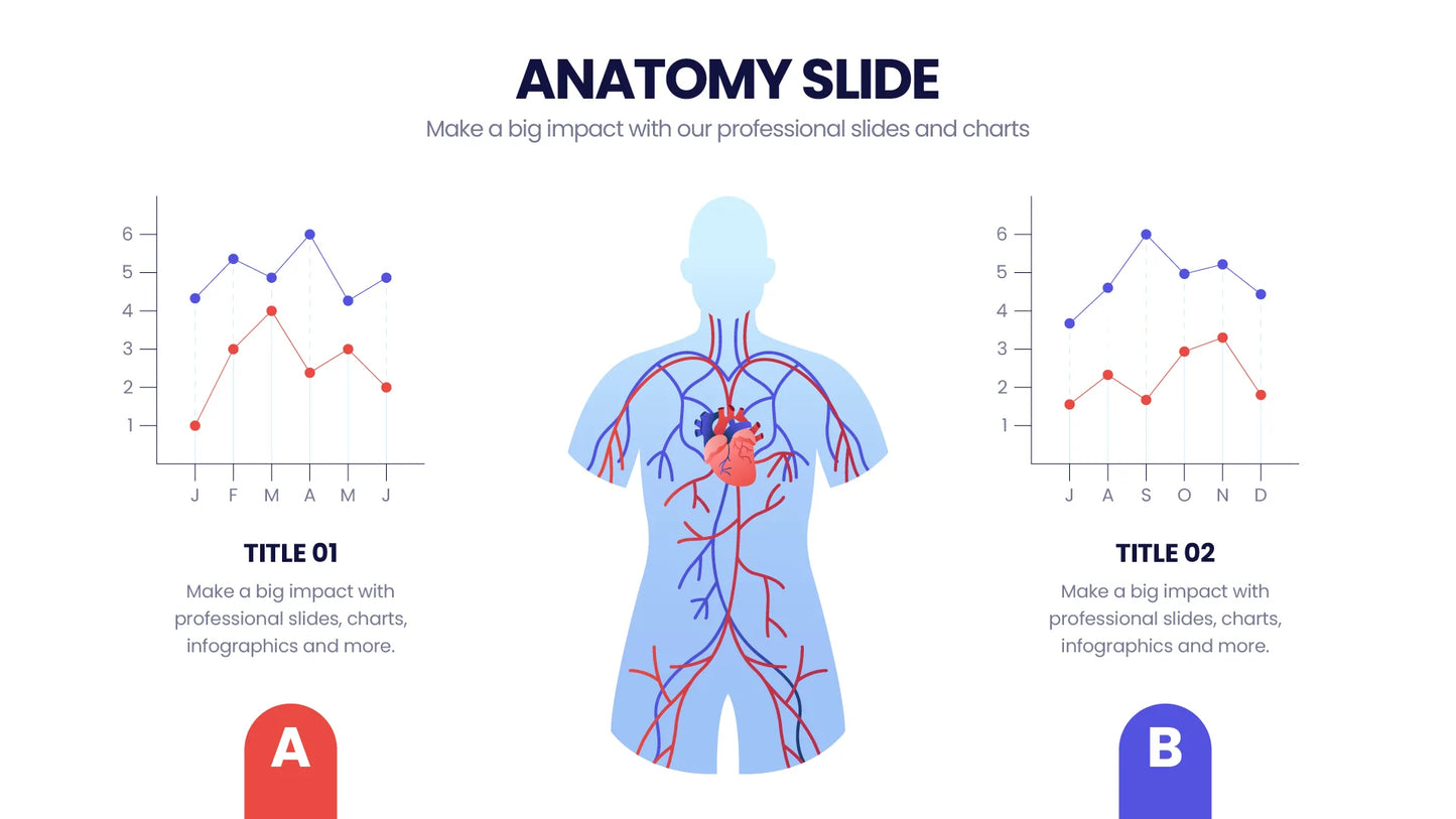 Anatomy Infographic templates