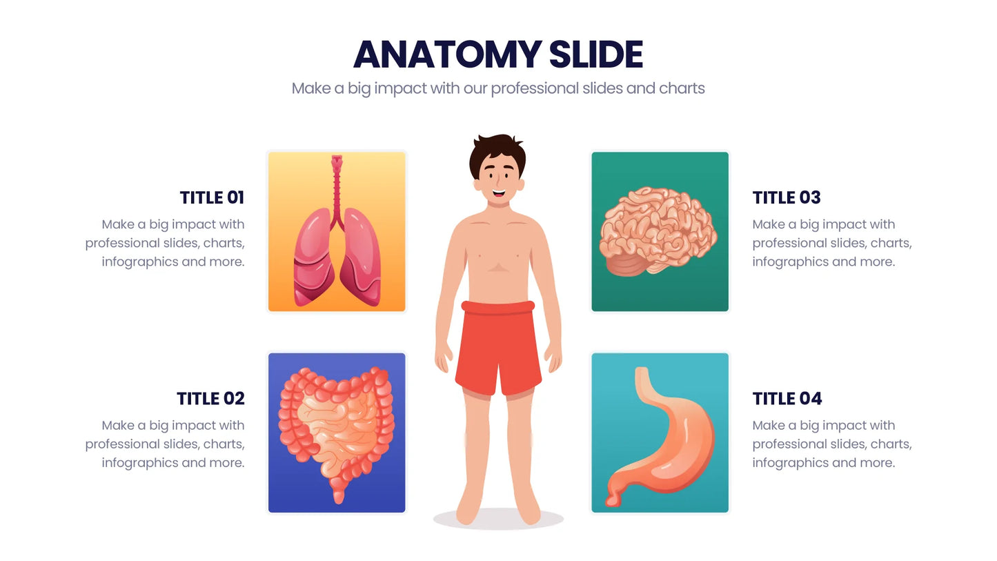 Anatomy Infographic templates