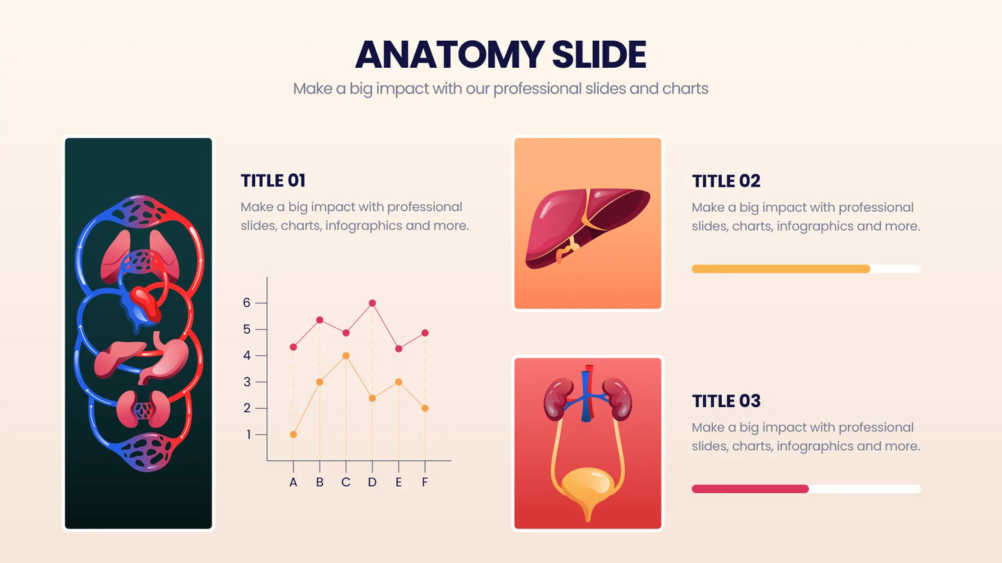 Anatomy Infographic templates