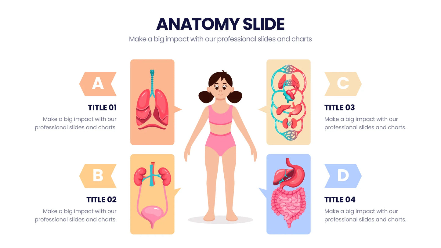 Anatomy Infographic templates