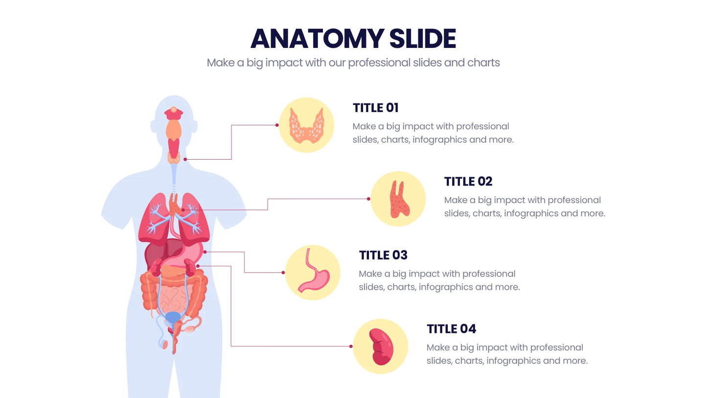 Anatomy Infographic templates