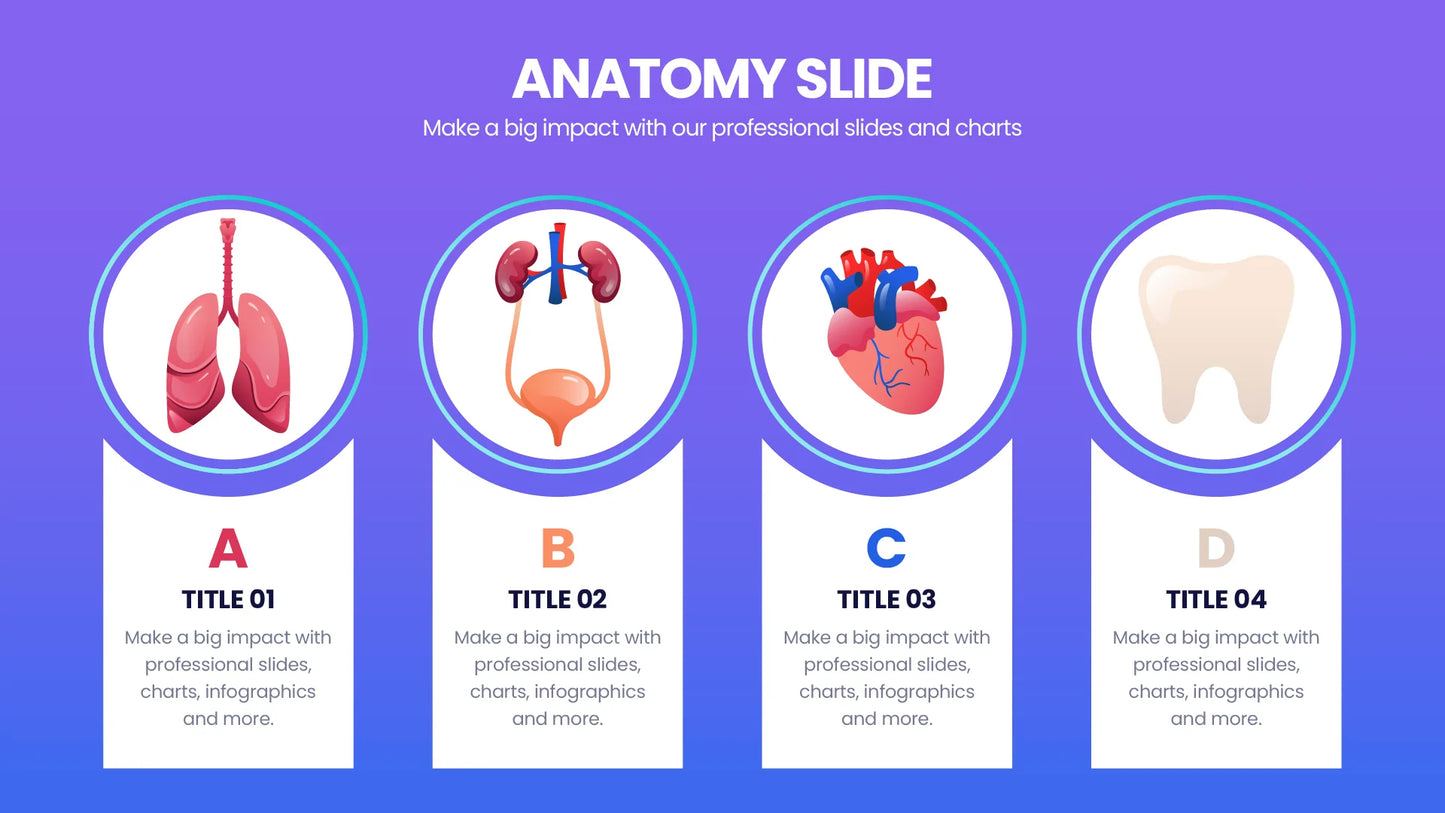 Anatomy Infographic templates