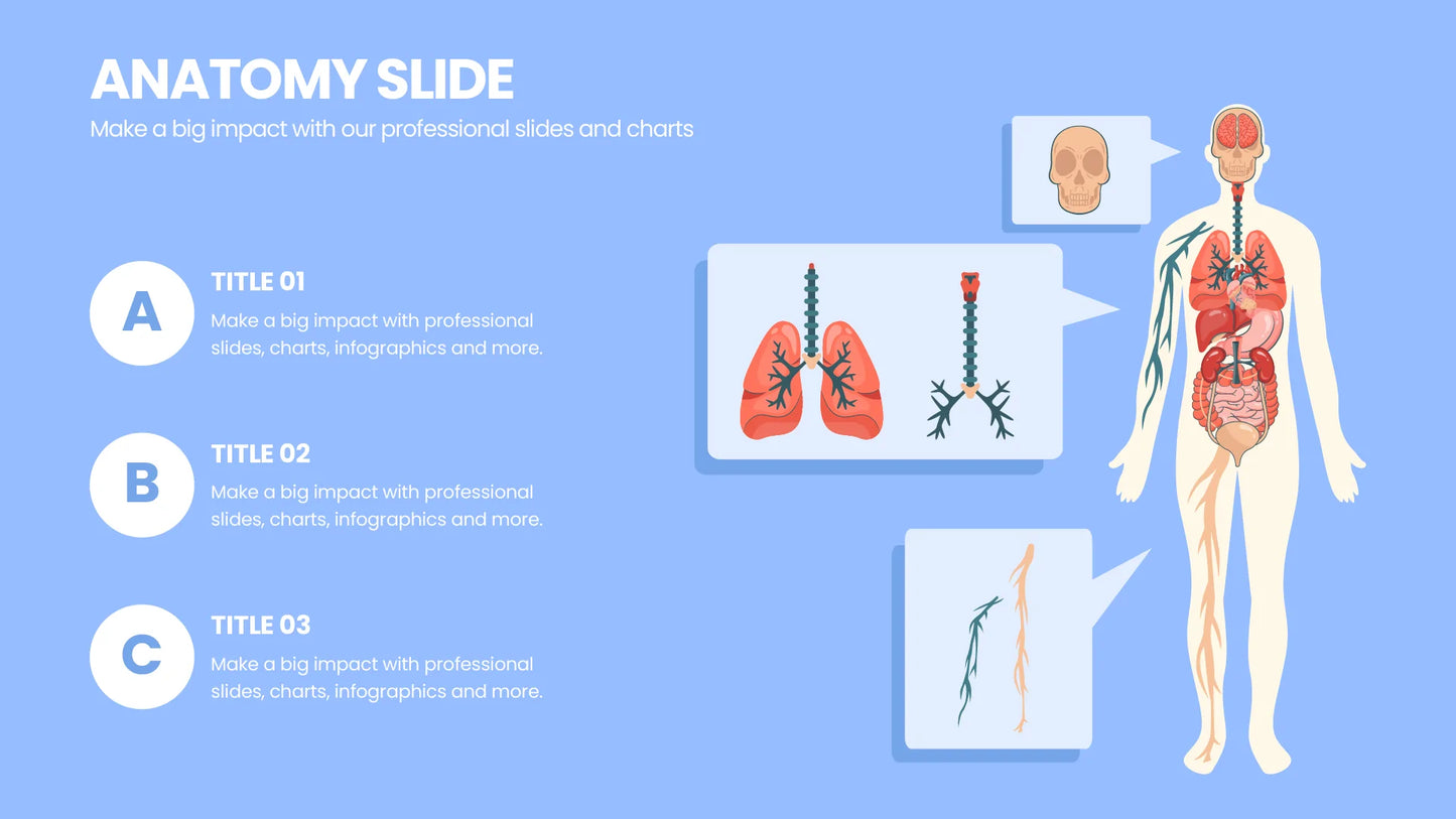 Anatomy Infographic templates