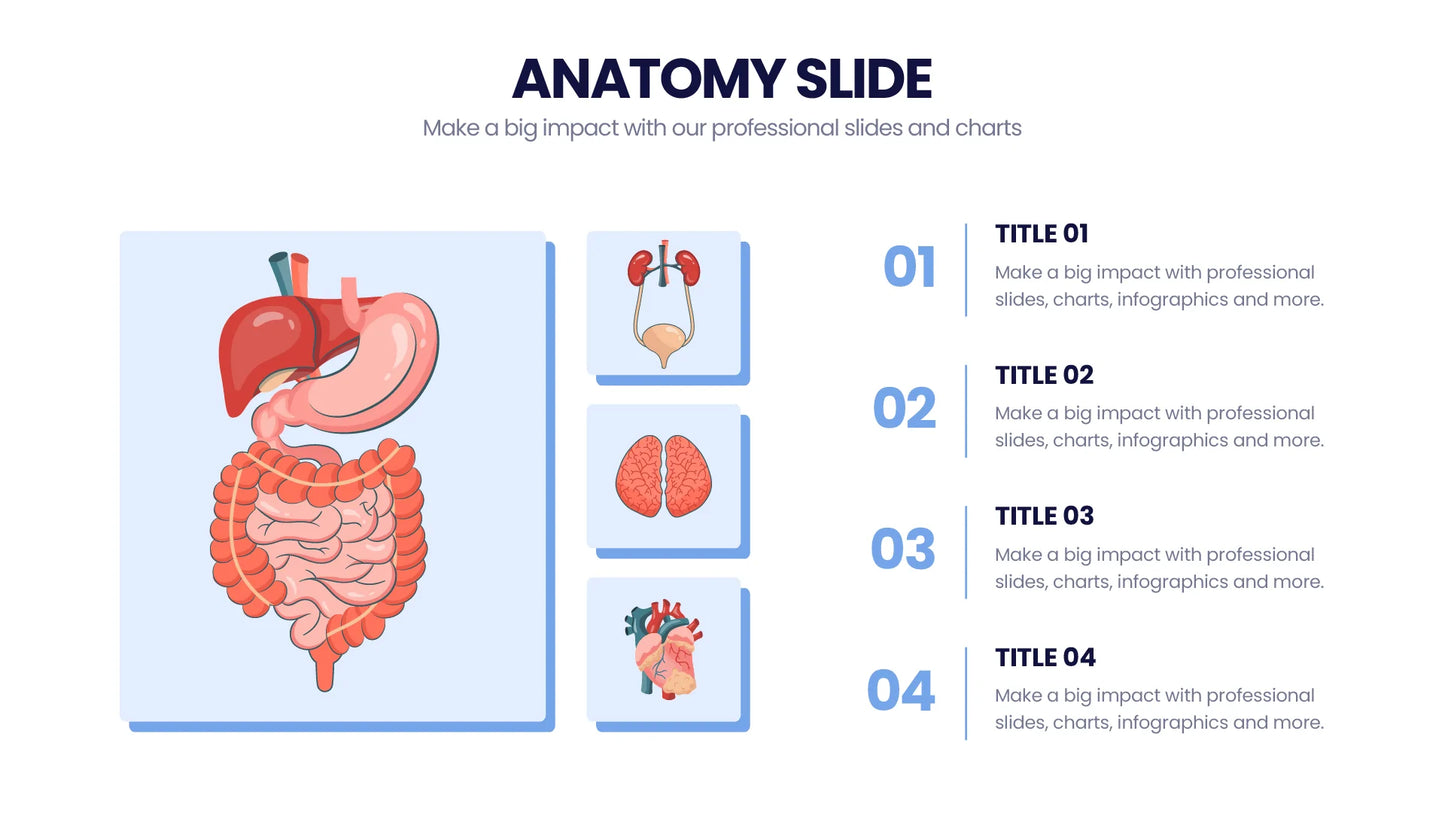 Anatomy Infographic templates