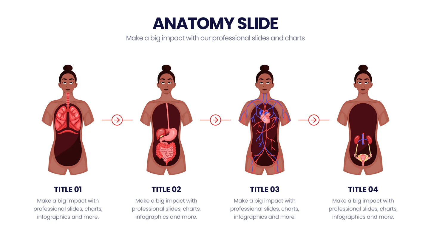 Anatomy Infographic templates