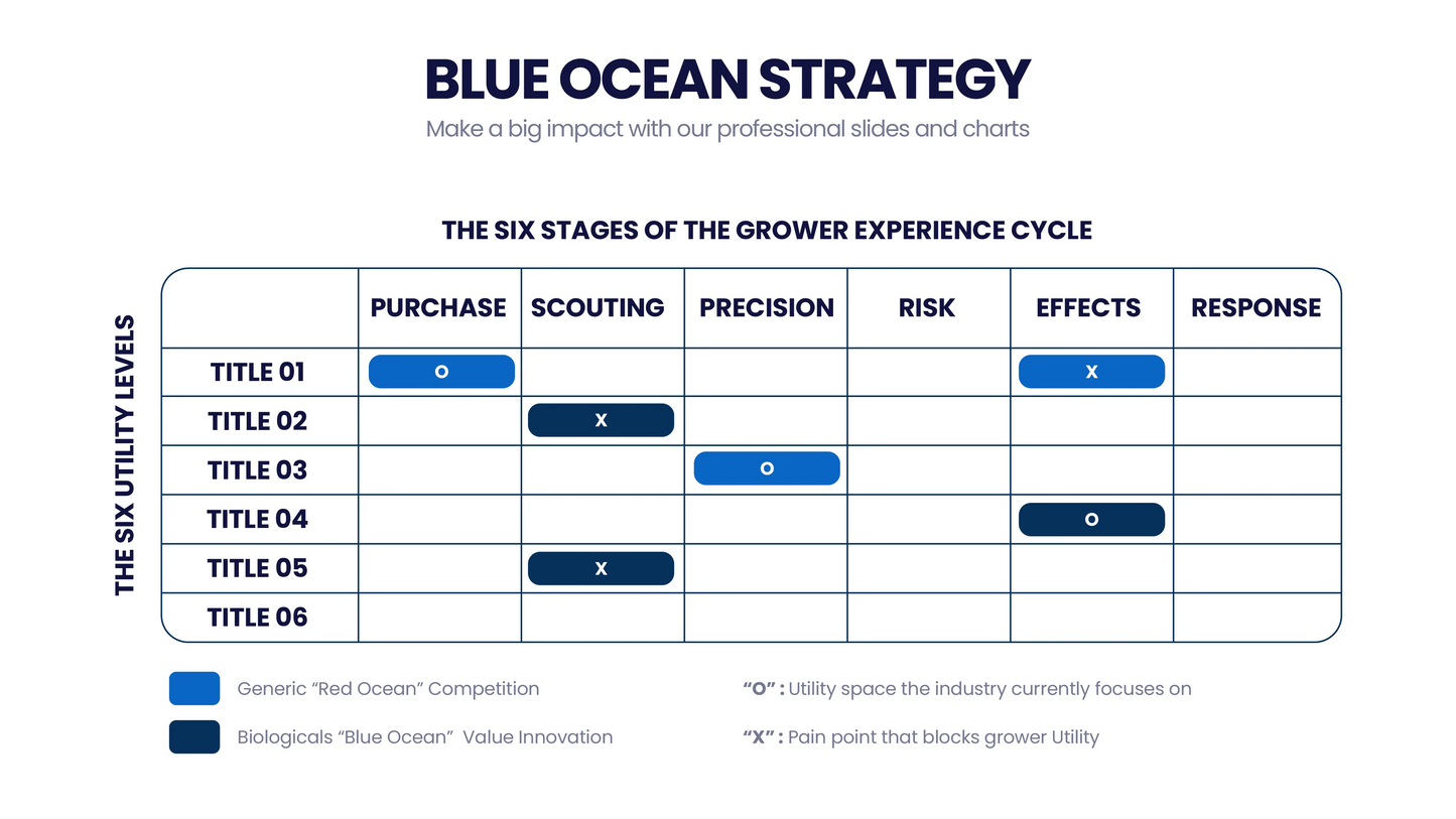 Blue Ocean Strategy Infographic 