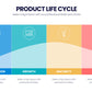 Product Life Cycle Infographic templates