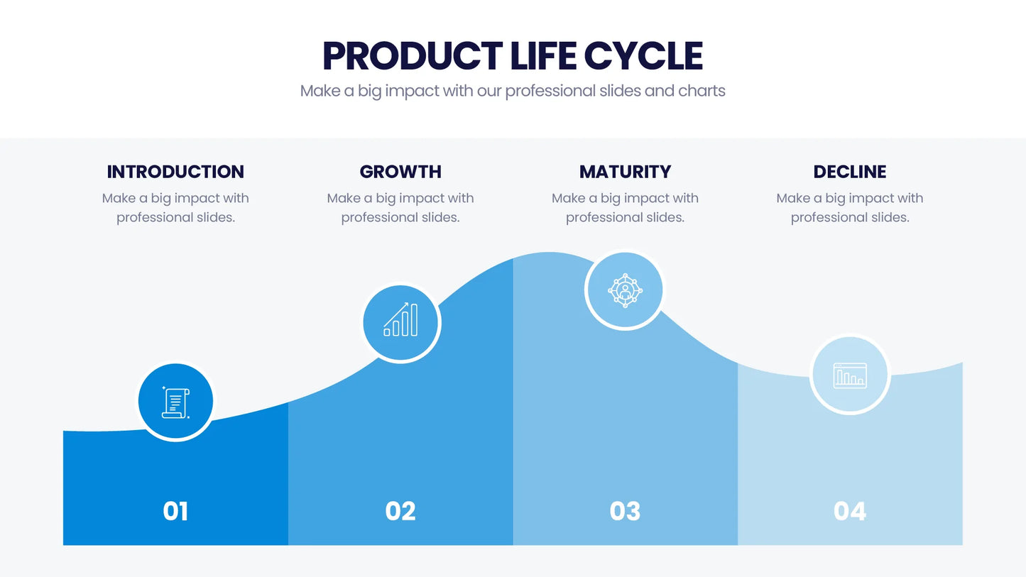 Product Life Cycle Infographic templates